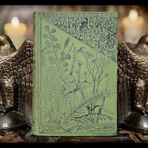 May include: An antique book, "An Analysis of Plants", with a green cover and botanical designs. Two bronze eagle bookends stand either side of the book. The background has soft candle light, giving a warm, vintage feel.