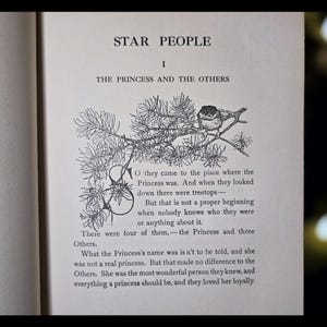 1910 Star People Fairy Tale Book Zodiac Astrology Antique Greek Mythology Book Astronomy Magic Art Artwork