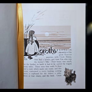 Puede incluir: Libro abierto con una cinta dorada como marcap&aacute;ginas. La p&aacute;gina presenta una ilustraci&oacute;n de una ni&ntilde;a llamada Dorothy, de pie en una pradera, con texto de una historia. Tambi&eacute;n hay una peque&ntilde;a ilustraci&oacute;n de un perro.