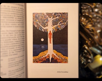 Magical Philosophy Occult Book Alchemy Metaphysical The Tree of Life Egyptian Mythology