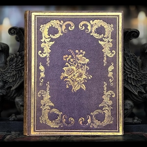 1848 FAIRY LEGEND BOOK Occult Magic Mythology Witchcraft Sorcery Spells Fairies Fairyland Antique Vintage Druids Fairy Tale Book Art Artwork