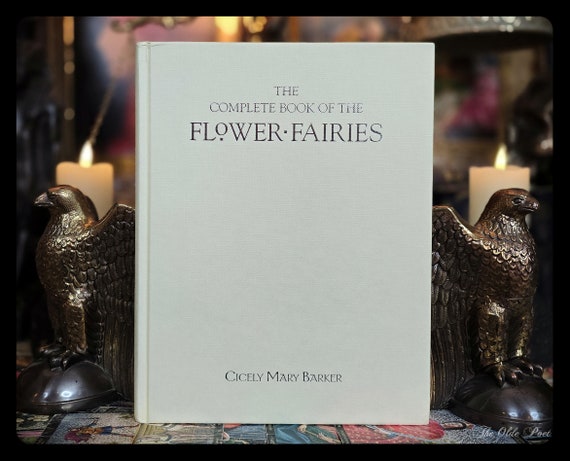 FLOWER FAIRY BOOK Fairies Vintage Fairy Tale Book Winter