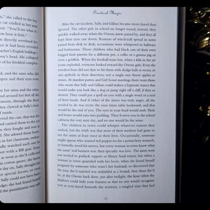 Practical Magic 1st Edition 1st Printing Witchcraft Occult Magic Book Vintage Esoteric Clairvoyance Supernatural Witch Gift Alice Hoffman