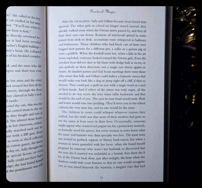Practical Magic 1st Edition 1st Printing Witchcraft Occult Magic Book Vintage Esoteric Clairvoyance Supernatural Witch Gift Alice Hoffman
