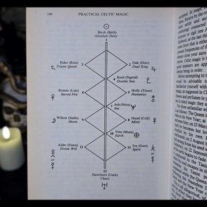 May include: A black and white diagram of a Celtic Tree of Life with 13 trees, each representing a different aspect of life. The trees are arranged in a diamond shape with a central vertical line. The names of the trees and their associated meanings are listed next to each tree.
