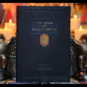 1924 National Geographic Book of Wildflowers: Antique Botanical Illustrations
