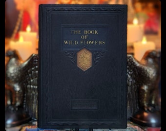 1924 Book of Wildflowers Botany Book Apothecary book Antique National Geographic Book Herbal Apothecary Book Botanical Art Artwork Plant