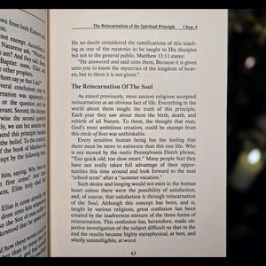 Reincarnation Occult Rosicrucian Metaphysical Spiritual Alchemy Book Vintage Egyptian Mythology Past Lives Life After Death Druids Esoteric