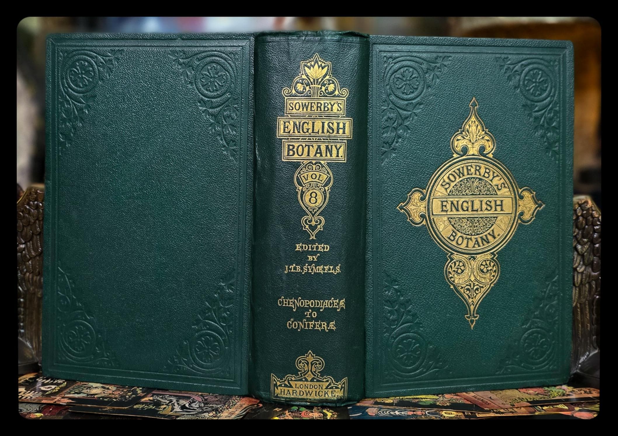 1873年 英語 植物学書 薬局 植物学 アンティーク ヴィンテージ