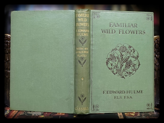 1892 Victorian Wildflower Book, Hulme's Botany, Antique Floral Art