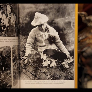 FAIRIES REAL ENCOUNTERS Mythology Ufo's Elves Spirits Other Realms - Etsy