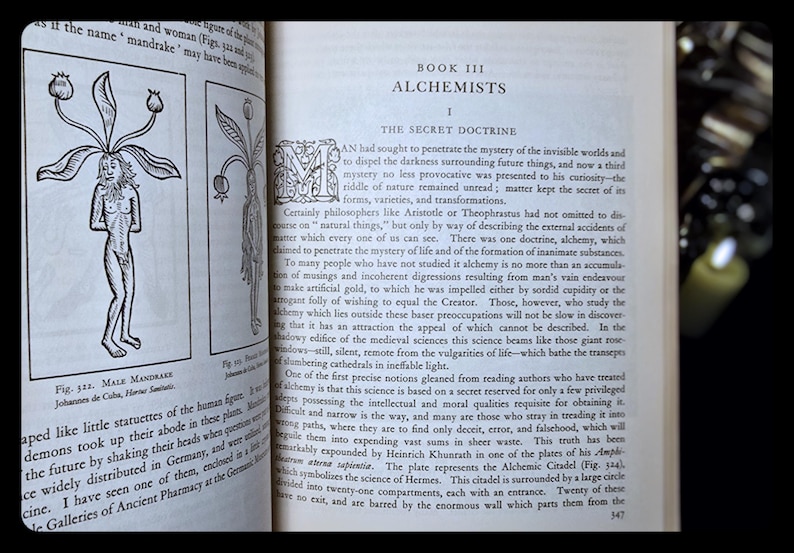 WITCHCRAFT MAGIC Occult Book Sorcery Divination Necromancy Astrology Metaphysical Esoteric Book Clairvoyance Witch Alchemy Gift Book