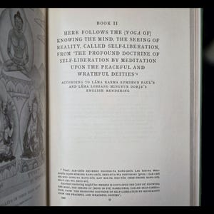 1954 Tibetan Book of Liberation Astrology Metaphysical Self Help Buddhism Occult