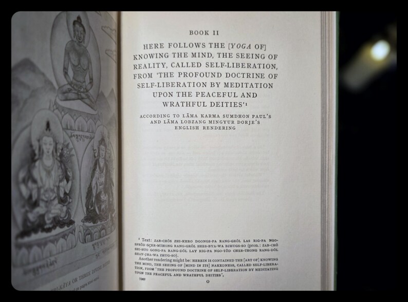 1954 Tibetan Book of Liberation Astrology Metaphysical Self Help Buddhism Occult