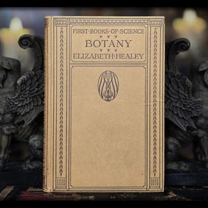 1922 Botany Book Apothecary Botanical Art Antique Vintage Plant Flower Identification Artwork Gardening Nature Gift Organic Off Grid