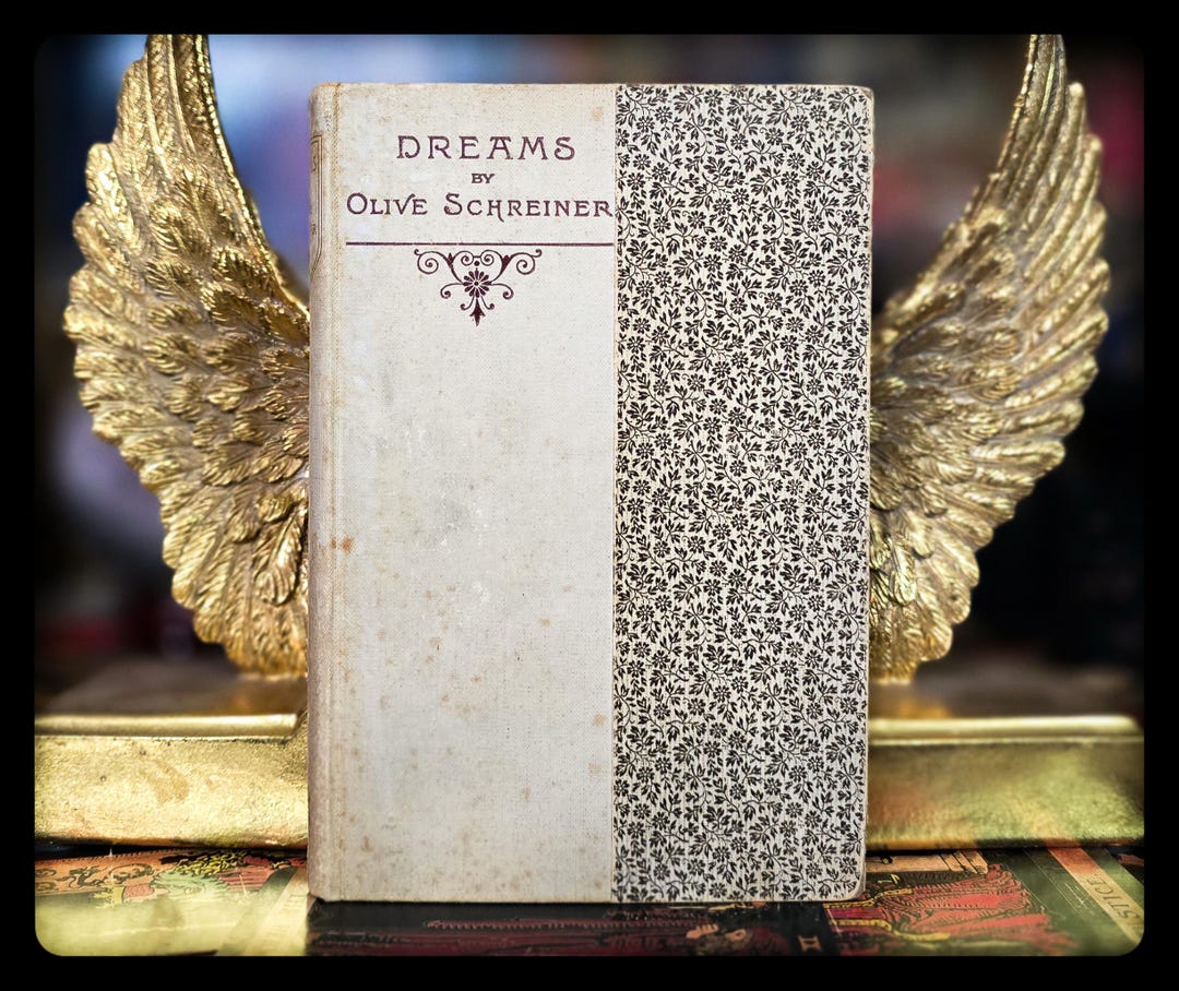 1894 夢の本 天使 神秘主義 スピリチュアル 詩 詩 ビクトリア朝