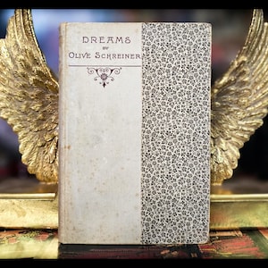 1894 rêves livre anges mysticisme poésie spirituelle poèmes victorien métaphysique antique vintage cadeau ésotérique femme poème rêve ange