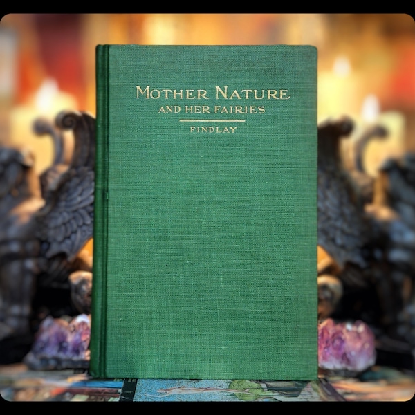 1913 MOTHER NATURE FAIRIES The Natural World "Very Rare" Fairy Tales Elves
