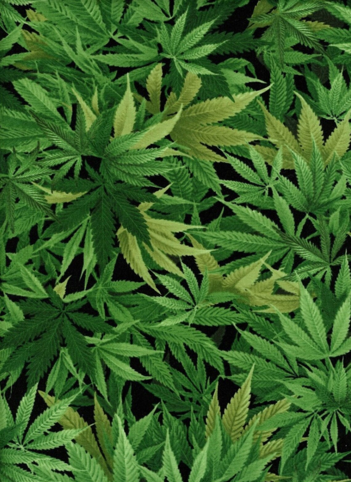 Cannabis Leaves Cotton Fabric Cannabis Cotton Fabric Etsy