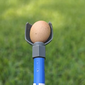 Eggstraordinary Chicken Egg Coop Scooper - Make collecting easier!