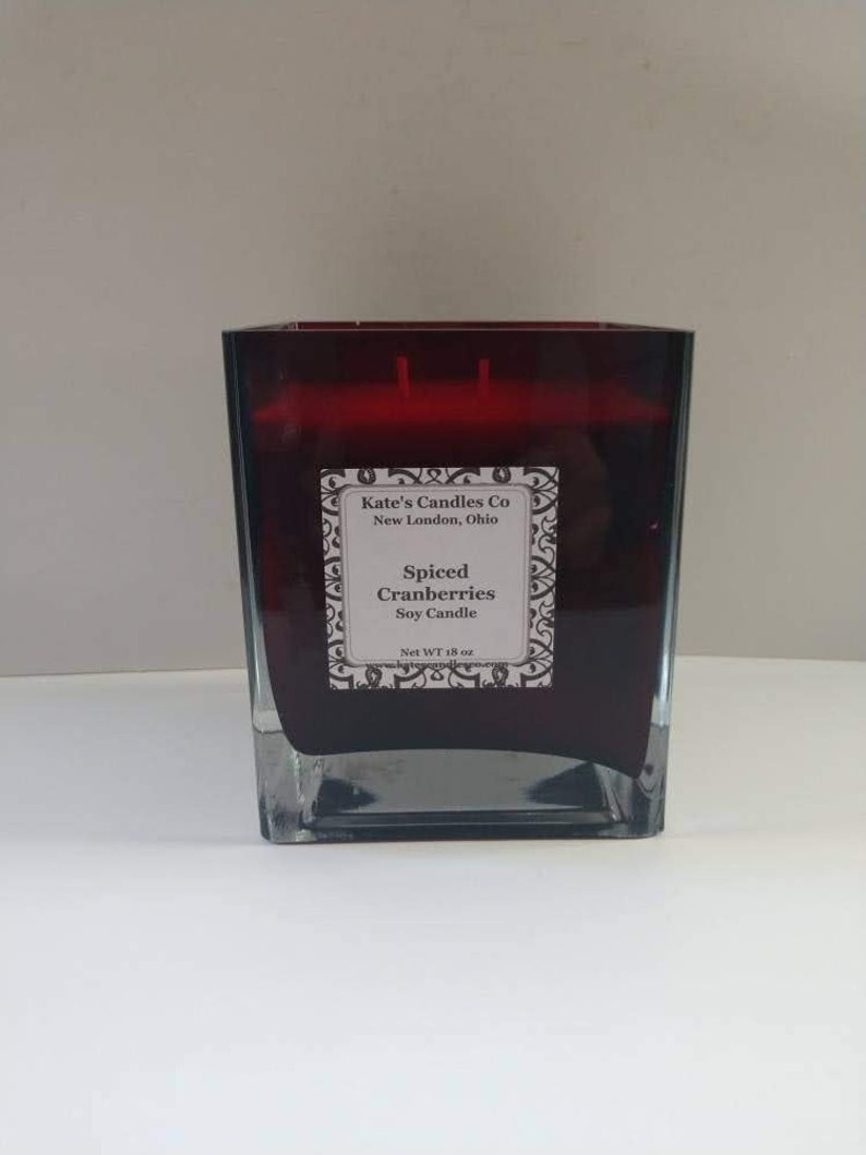 Cinnamon Candle Warmers Spiced Cranberries Soy Wax Melt Wax Warmers Wax Melter Christmas Candle Warmer,