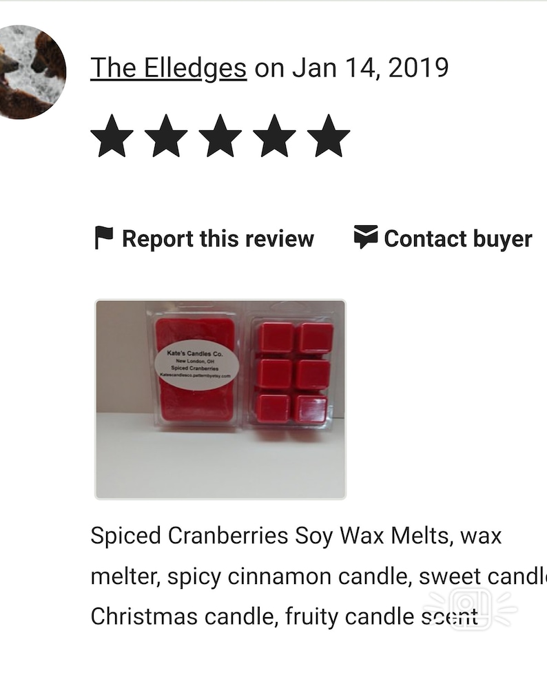 Cinnamon Candle Warmers Spiced Cranberries Soy Wax Melt Wax Warmers Wax Melter Christmas Candle Warmer,