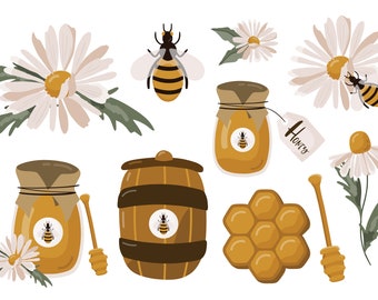 Spring / clipart / flower / camomile / honey / honeycomb / bouquet  / PNG / digital / vector / printable