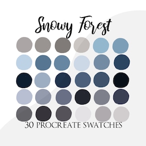 Procreate palette swatches, procreate color palette, winter landscape colour palette, brushes, winter colors, holidays palette, snow forest