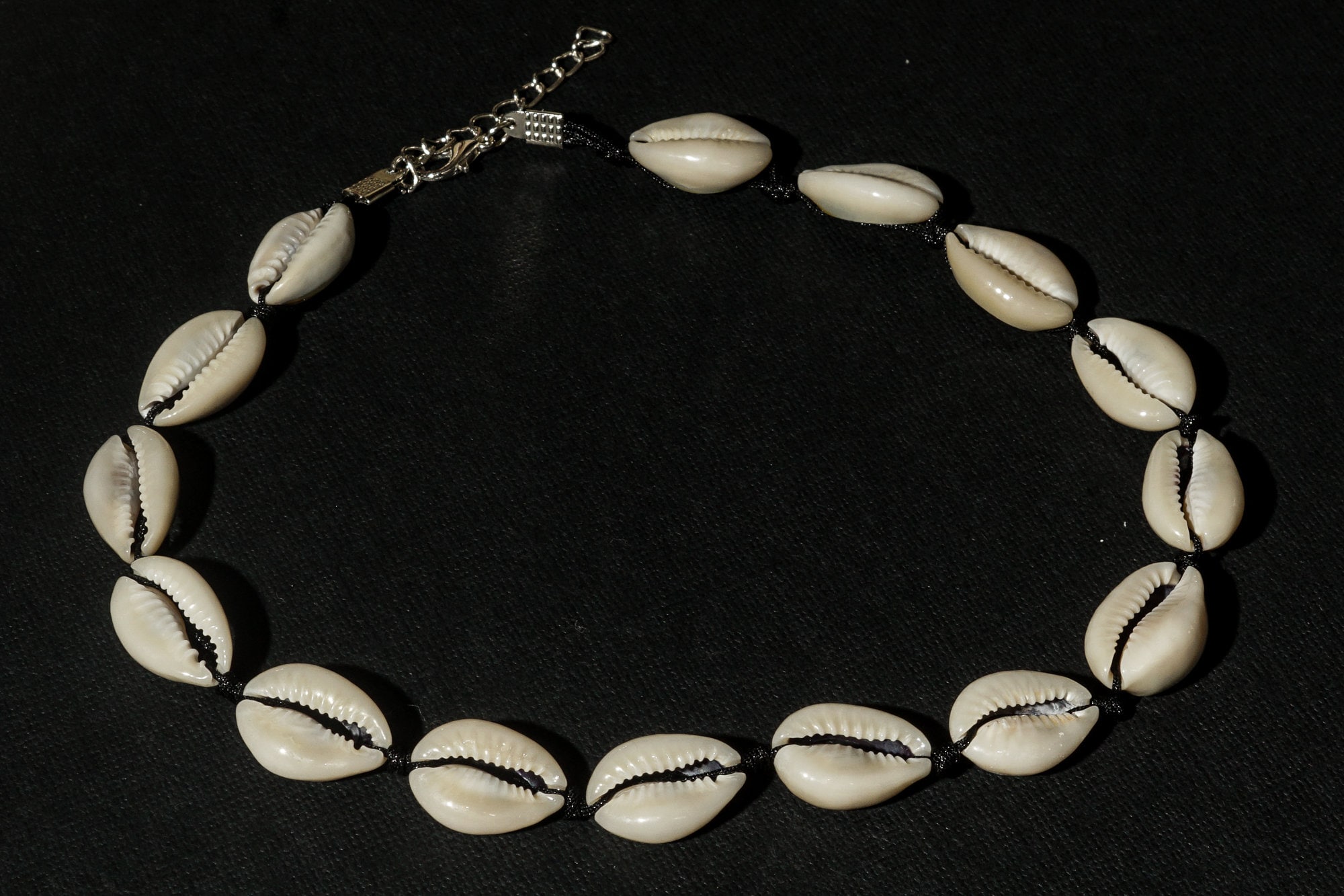 Cowry Cowrie Shell Choker Necklace on Black Macrame Cord Etsy UK