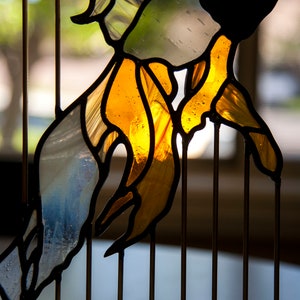Stained Glass Fish Floating in Walnut Wood Frame with Brass image 9