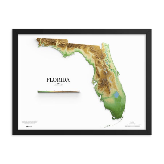 Molestia cinta Nuclear Póster del mapa de elevación de Florida - Etsy México