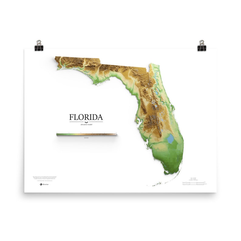 Florida Elevation Map Poster - Il 794xN.3451049524 Nalb