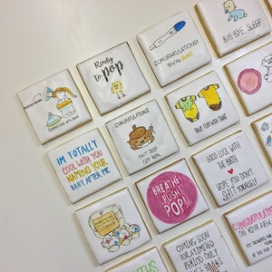 12 Pun Baby Shower Biscuit / Cookie Favours