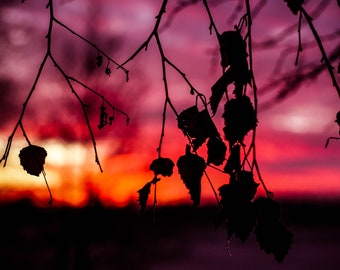 sunset colors Digital Download landscape pink orange sky silhouette nature photography printable colorful photo