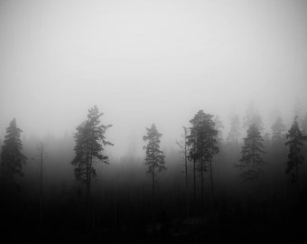 black and white foggy landscape trees photograph Digital Download misty scandinavian nature printable photography