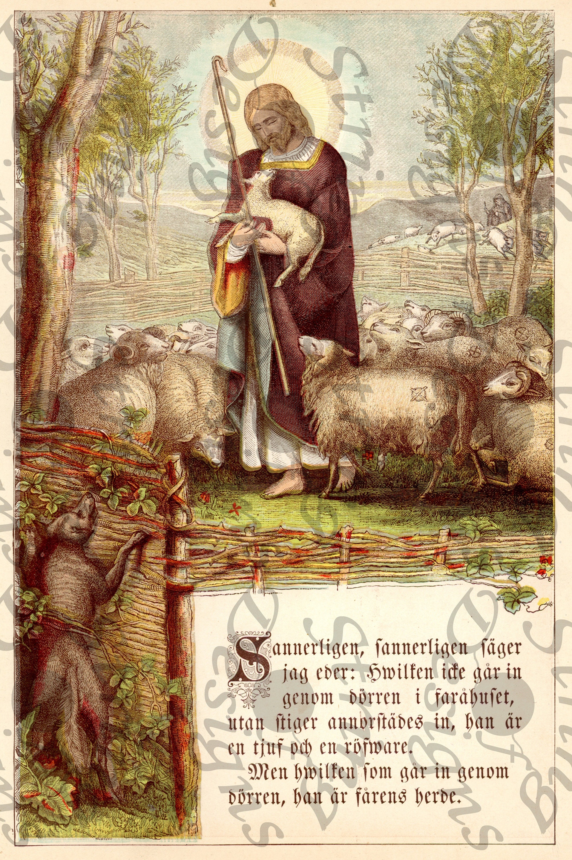 1889 German Bible Digital Printables Full Color Antique Devotional ...