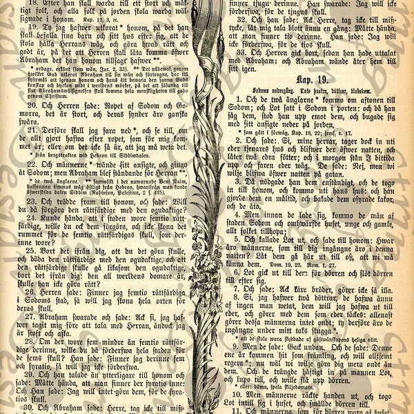 German Bible - Etsy