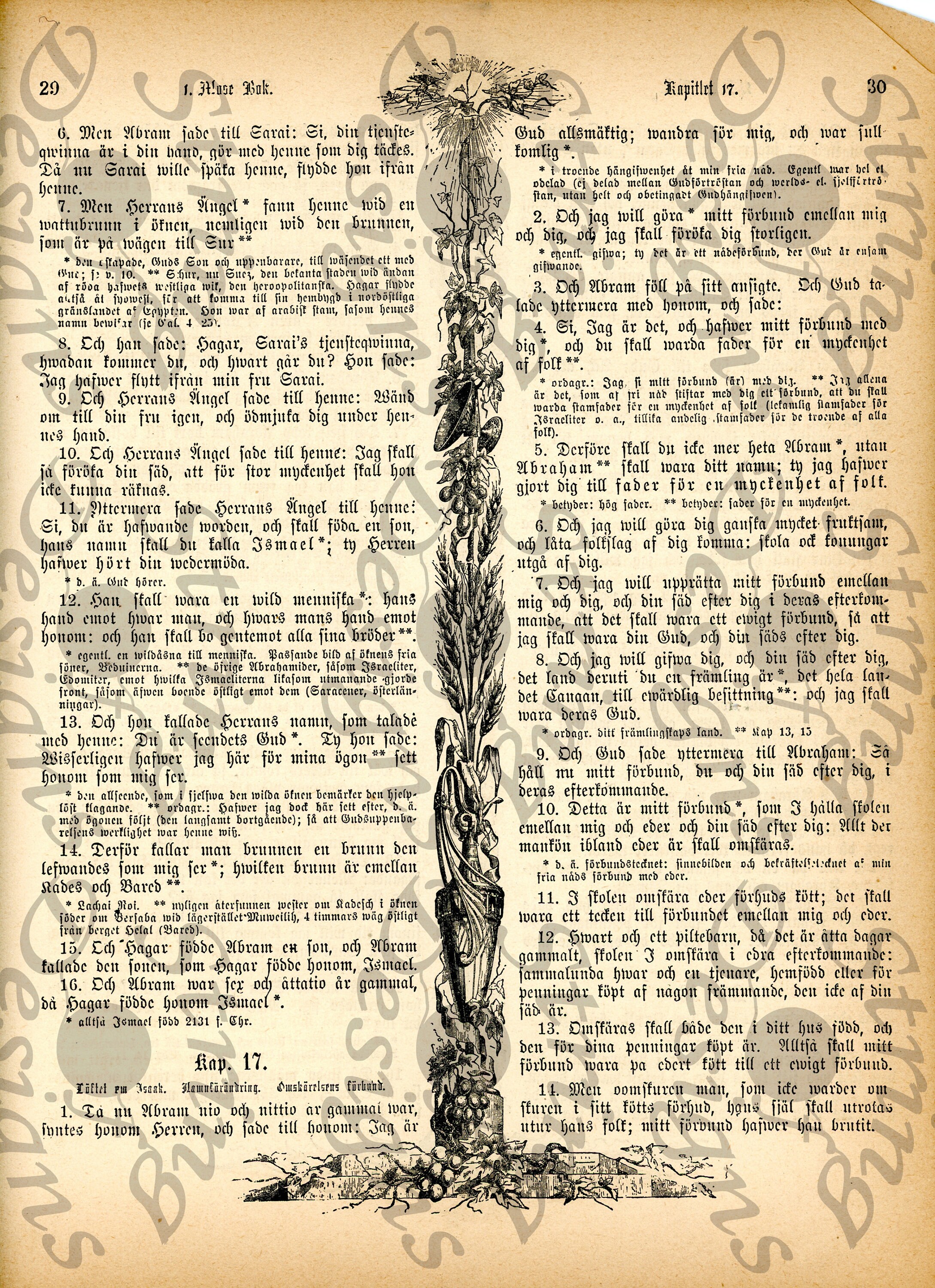 1889 German Bible Digital Printables Ornate Bible Pages Pack 2 of 6 - Etsy