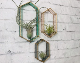 Air Plant Holder, Stained Glass, Air plant wall decor, air plant display, wall planter, terrarium , tillandsia, planter, indoor planter,