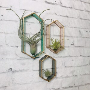 Air Plant Holder, Stained Glass, Air plant wall decor, air plant display, wall planter, terrarium , tillandsia, planter, indoor planter,