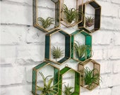 Air Plant Holder, Stained Glass, Air plant wall decor, air plant display, wall planter, terrarium , tillandsia, planter, indoor planter,