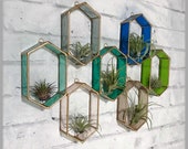 Air Plant Holder, Stained Glass, Air plant wall decor, air plant display, wall planter, terrarium , tillandsia, planter, indoor planter,