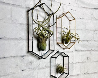 Iridescent Stained Glass Air Plant Holder: Wall Decor Terrarium