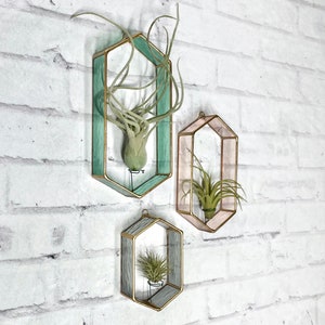 Air Plant Holder, Stained Glass, Air plant wall decor, air plant display, wall planter, terrarium , tillandsia, planter, indoor planter,