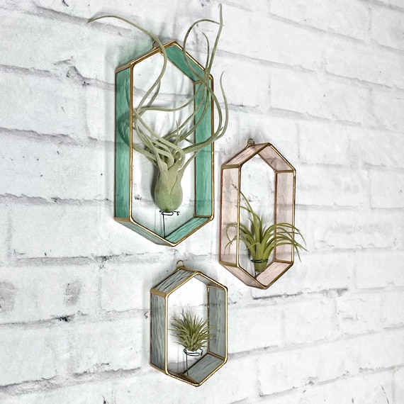 Stained Glass Air Plant Holder: Handmade Wall Decor - Etsy