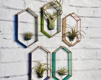 Stained Glass Air Plant Holder: Handmade Wall Decor