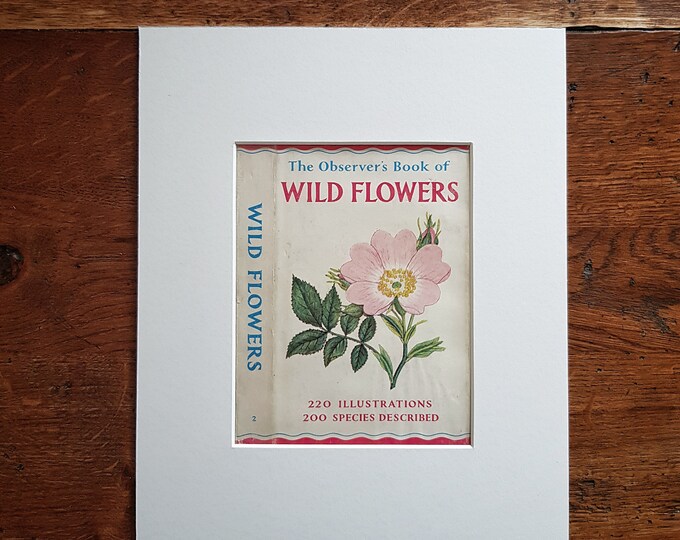 Vintage Dust Jacket Mounted Ready for Framing Wild Flower Etsy