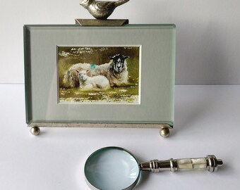 Original watercolour painting (NOT A PRINT) of sheep and lamb, ACEO. miniature, signed by the Artist. Collectible