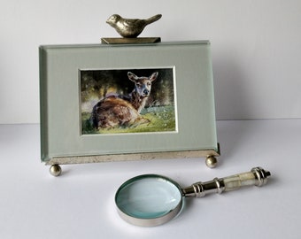 Original watercolour painting (NOT A PRINT) of a deer foal, ACEO. miniature, signed by the Artist. Collectible