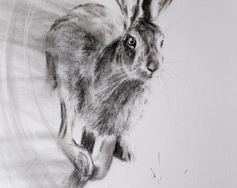 A4 Original Charcoal Drawing (not a print) on paper of a Hare, signed by the Artist